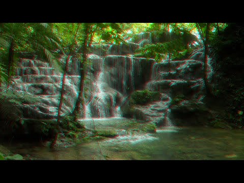 MYSTXRIVL - Deep Woods