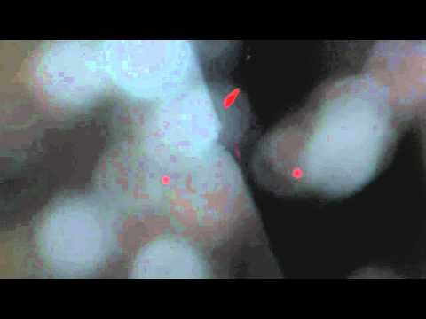 download lagu mp3 mp4 MovemenTae, download mp3 MovemenTae free download, download mp3 MovemenTae