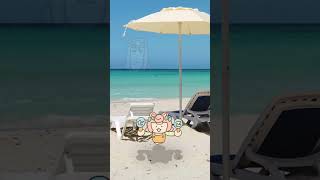夏日にビーチでド七五サンバ🏖 / ころねぽち