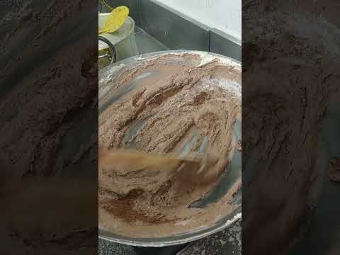 chocolate sandesh 🤘🧑‍🍳 #food #cakedesign #foodart #foodie #youtubeshorts #shorts