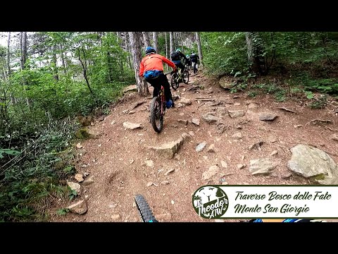 e-Traverso Bosco delle Fate (Monte San Giorgio)