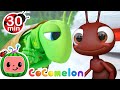 The Ant and the Grasshopper + More CoComelon Animal Time | Animals for Kids