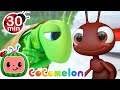 The Ant And The Grasshopper More CoComelon Animal Time Animals For Kids