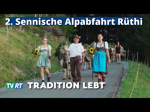 Alpabfahrt Rüthi 2025: When old tradition comes to life again