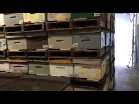 Wintering honey bees indoors, my set up