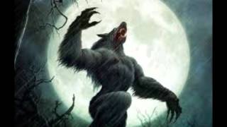 werewolf baby Video