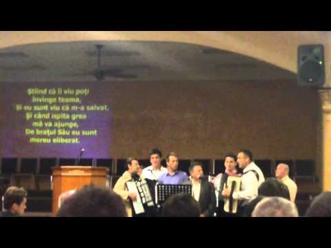 ILIE PUHA FLORIN PAL. OTNIEL STIRB SI NELU GABOR. LA. SACRA