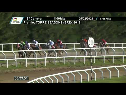 210205 c08 - QUICK LOVE (BRZ) - HIPODROMO LAS PIEDRAS