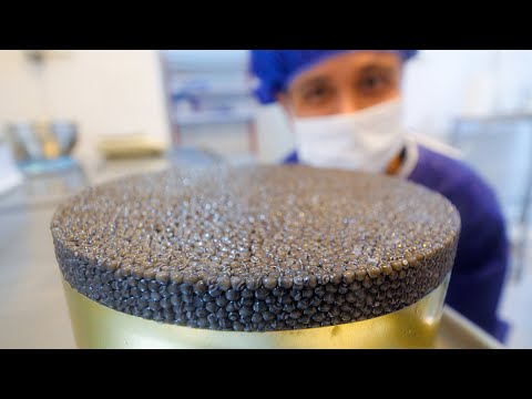 , title : '$4,000 Caviar!! HUGE BELUGA STURGEON - Black Caviar + Kebabs | Caspian Sea, Iran!'
