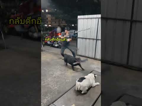 เมื่อแม่สั่งลูกๆให้รอจัดการพ่อเมาแล้วกลับดึก #funny