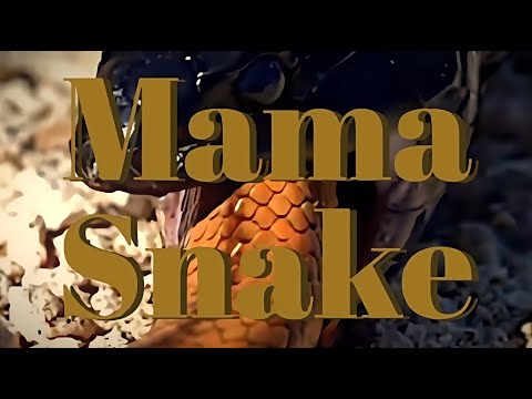 Mama Snake - HATE Podcast #304 [REVERB]