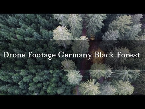 2K Drone Footage of German Black Forest