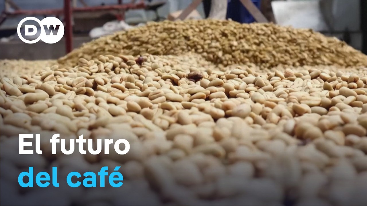 El cambio climático amenaza el futuro del café