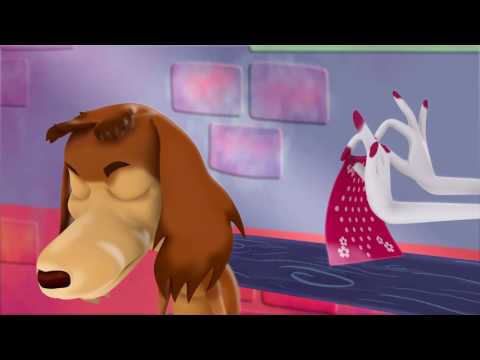 Perro Chocolo -Albergue