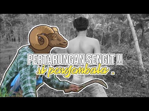 nggak-ada-akhlak-pengembala-gatau-diri-film-pendek-bocah-kampungku