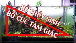 Bể THỦY SINH bố cục TAM GIÁC đơn giản chơi rêu