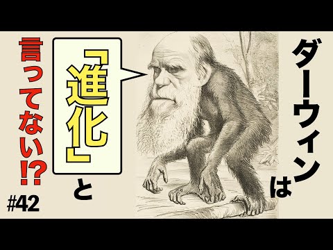進化論: ダーウィンの教えは何と言っていますか?