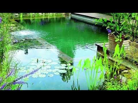 Natural Swimming Pool Build - Pond Conversion Phase 1