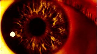 The Cure - The Snakepit (LYRICS ON SCREEN) 📺