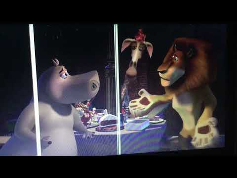 The jungle animal book part 3 rocky encounters dave