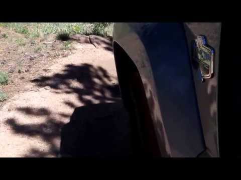 Veadawoo Liberty in the driver seat