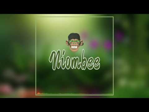 Rayvanny - Niombee (official music audio)