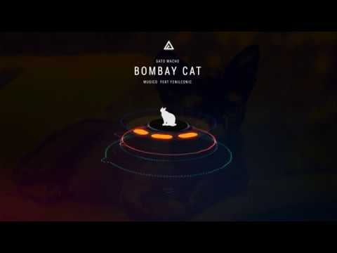Gato Macho - Bombay Cat ( Musico Feat. Fenilconic ) | Original Mix