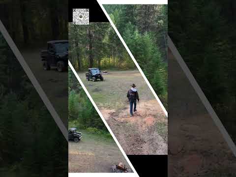 Looking at Primitive camps Cover