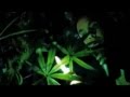 Friday The 13th Weed Scene