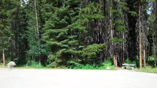 preview picture of video 'Rv stop near banff, canada'