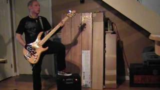 The Birthday Massacre - Under the stairs(bass cover)