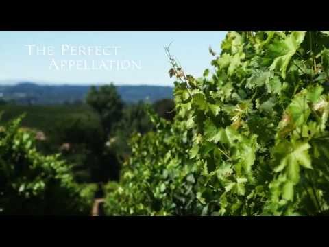 Sonoma-Cutrer Pinot Noir