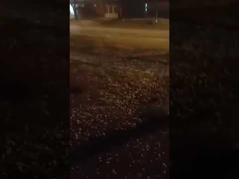 LLEGAN  LAS PRIMERAS  LLUVIAS  A SANTA FE  ‼️.  Elortondo