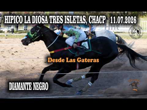 DIAMANTE NEGRO - HIPICO LA DIOSA , TRES ISLETAS, CHACO 11.07.2026