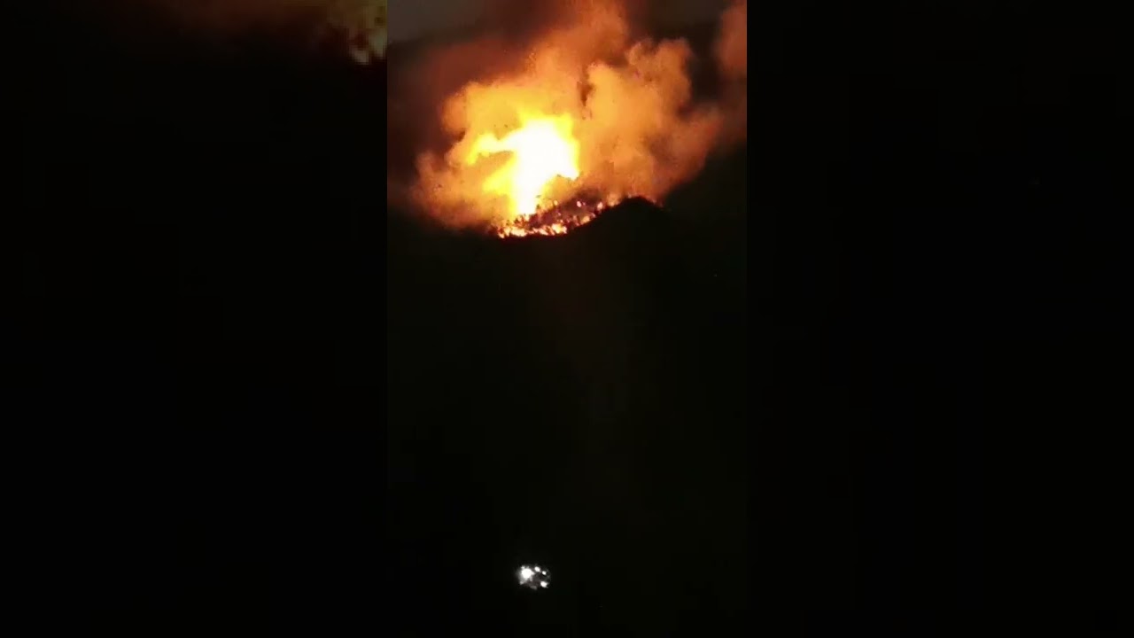 Waldbrand wütet auf Thassos: Dorf evakuiert, 2 Verletzte (Video)