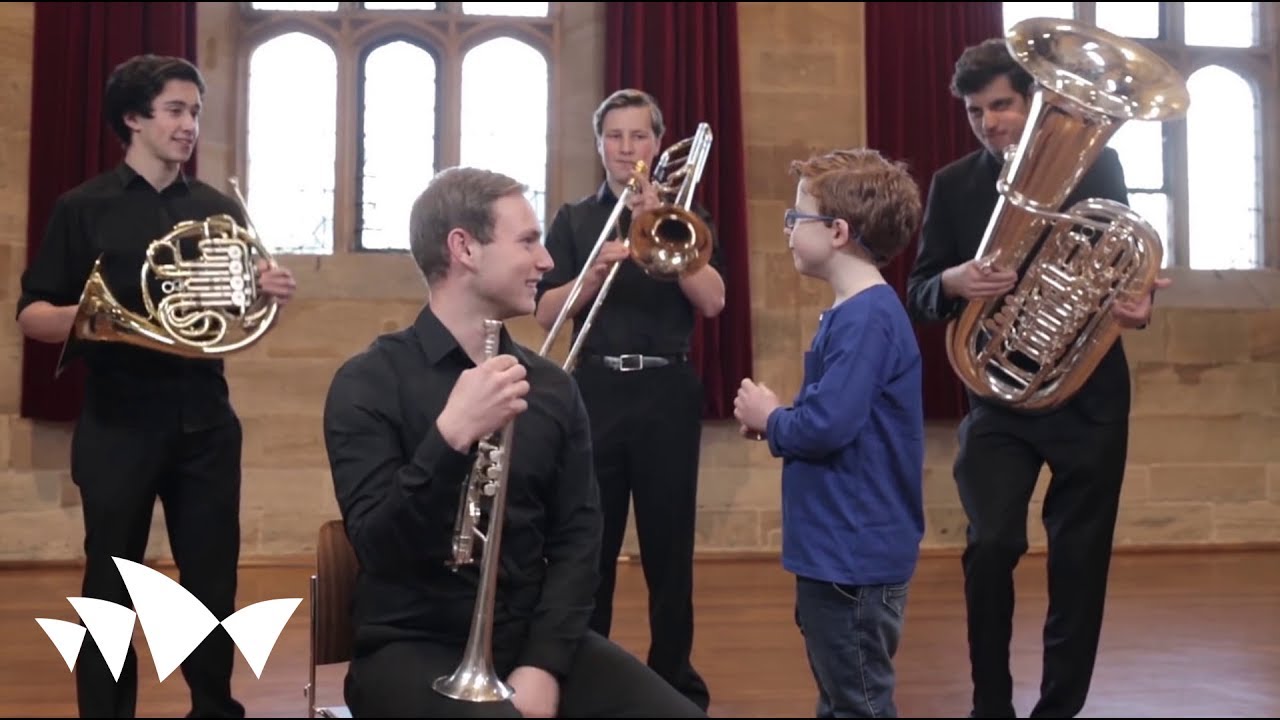 George Meets the Orchestra | An Introduction to the Orchestra for Children