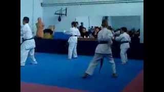 preview picture of video 'karate klub Raska-28.12.2013.g.'