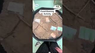 Fossil Mark Making Activity #educationalvideo