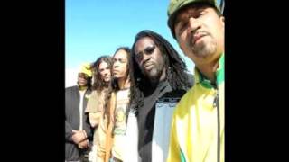 greatful dead jerry garcia permission tribute... phil lesh bob wier