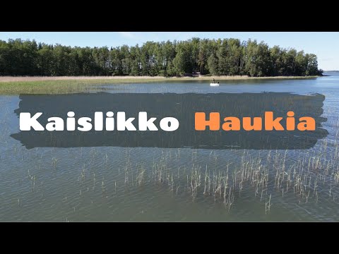 Kaislikko haukia etsimässä [ Hauen heittokalastusta merellä alkukesästä | Spinneri kalastusta ]