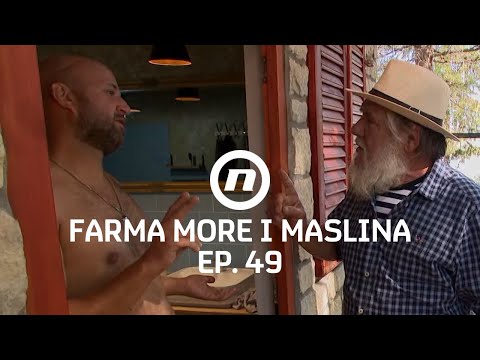 Jure poludio zbog farmera - Epizoda 49 | Farma More i Maslina