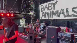 Baby Animals - One Word (Live Ballarat 2022)