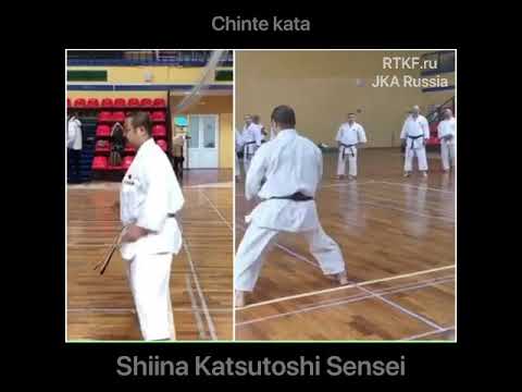 Chinte kata. Shiina Katsutoshi Sensei (JKA standard).