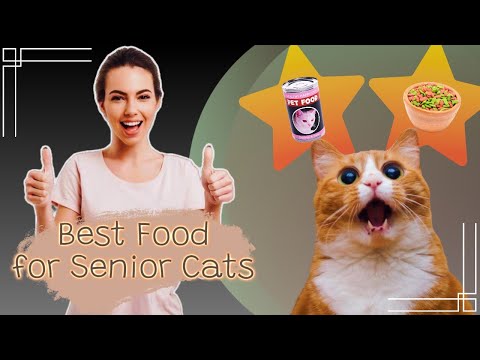 Senior Cat Nutrition Guide: Finding the Perfect Food for Your Old Cat!!!