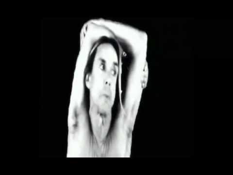 The BPA   He's Frank (Washing Up) Featuring Iggy Pop.wmv