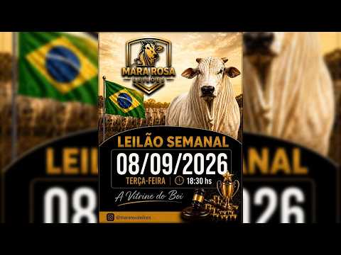 MARA ROSA LEILÕES - GOIÁS - LEILÃO DE GADO DE CORTE 08/09/2026