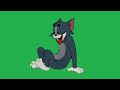 Tom And Jerry Funny Green Screen Tom