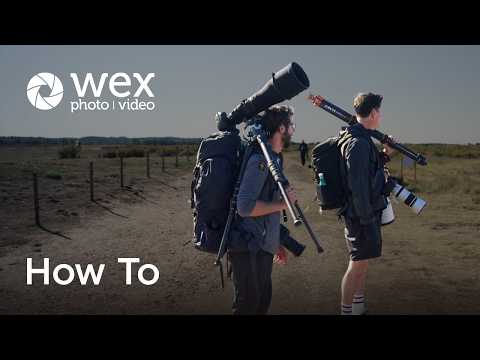 How To | Pick the Perfect Wildlife Lens with Tom Mason in Norfolk