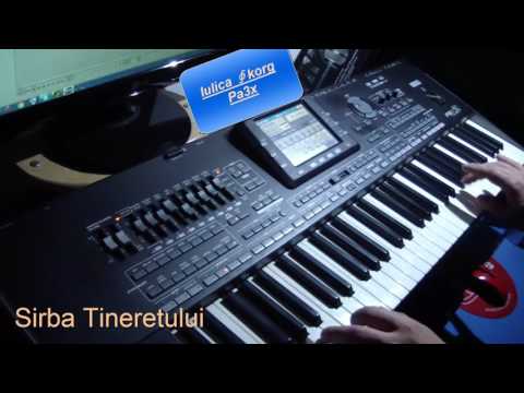 Korg Pa3x - Etno Sarba Tineretului (cover)