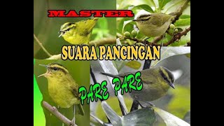 Download lagu Pancingan Burung Pare Pare Biar cepat bunyi mp3 Download lagu Pancingan Burung Pare Pare Biar cepat bunyi mp3